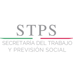 desarrollo de normas STPS